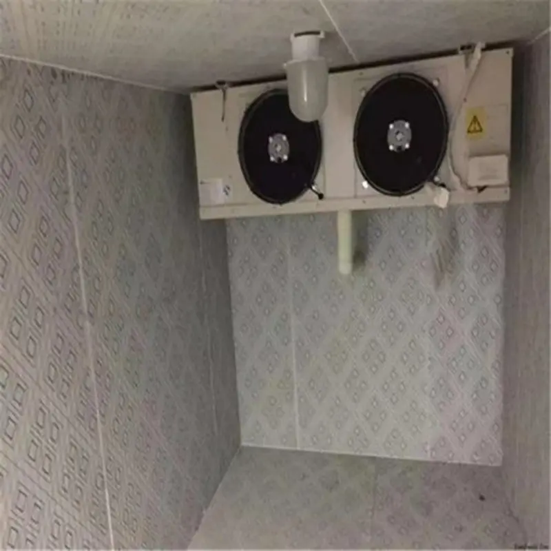 small-cold-storage-machine-3